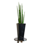 Snake Grass Table-top