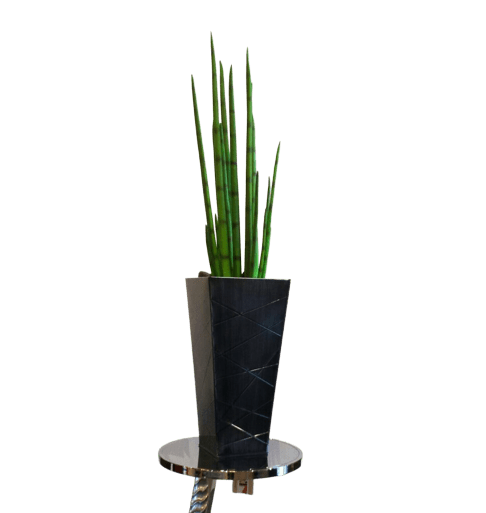Snake Grass Table-top